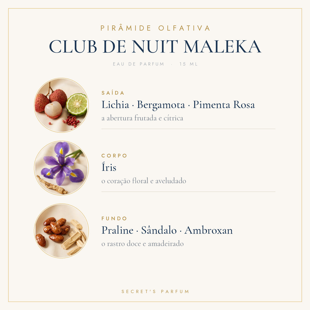 Pirâmide olfativa do Perfume Club de Nuit Maleka: lichia e bergamota na saída, íris no corpo e praline com sândalo no fundo